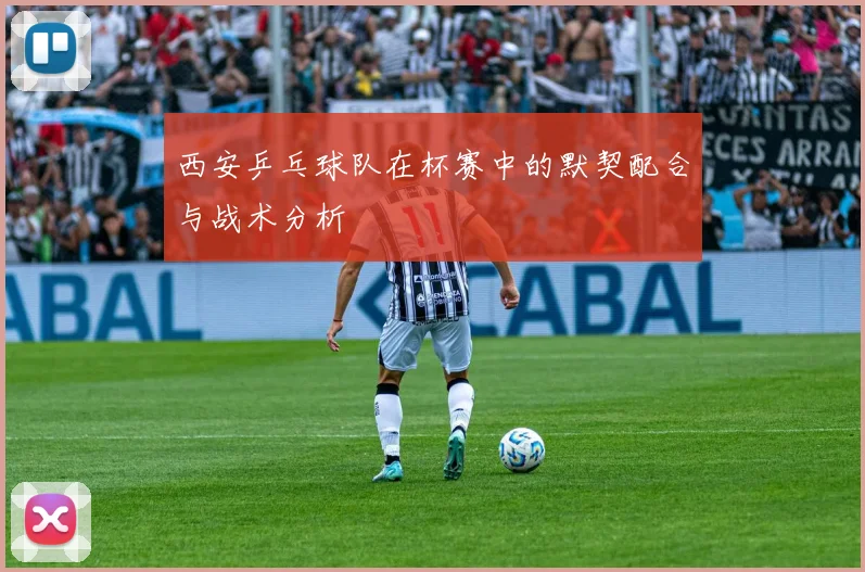 西安乒乓球队在杯赛中的默契配合与战术分析