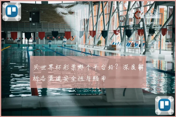 买世界杯彩票哪个平台好？深度解析各渠道安全性与赔率