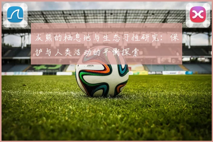 灰熊的栖息地与生态习性研究：保护与人类活动的平衡探索