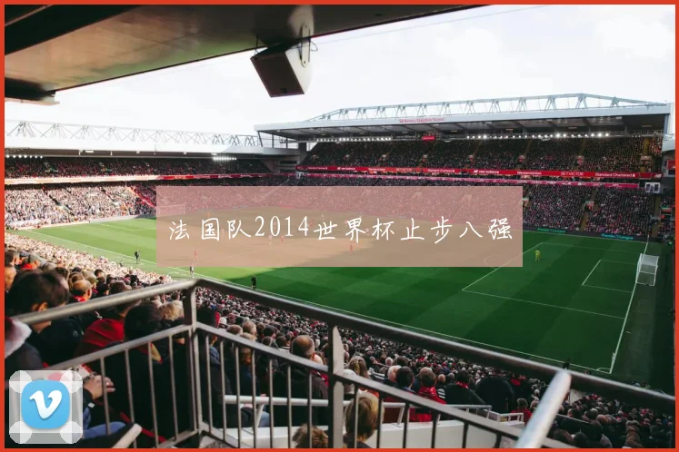 法国队2014世界杯止步八强