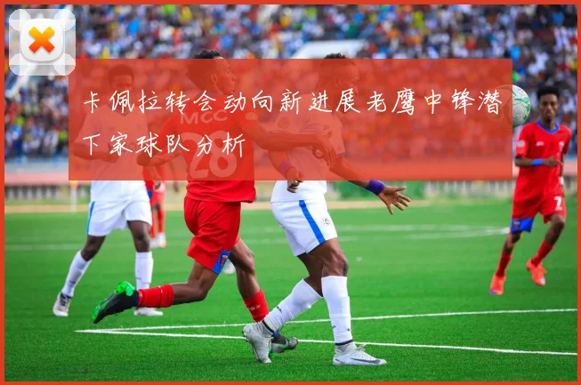 卡佩拉转会动向新进展老鹰中锋潜下家球队分析