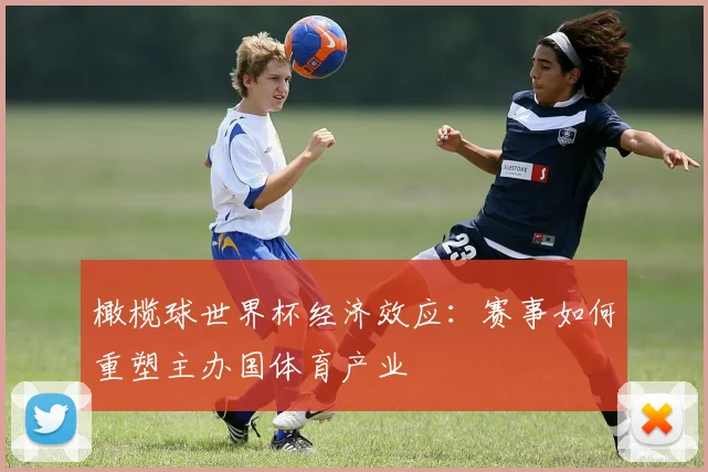 橄榄球世界杯经济效应:赛事如何重塑主办国体育产业