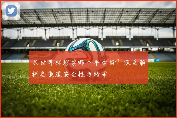 买世界杯彩票哪个平台好?深度解析各渠道安全性与赔率