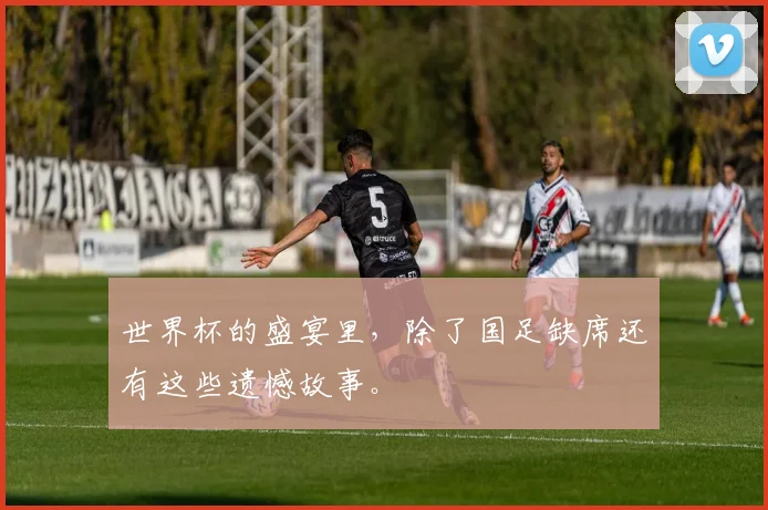 世界杯的盛宴里，除了国足缺席还有这些遗憾故事。