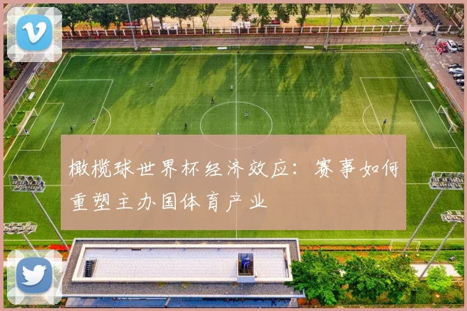 橄榄球世界杯经济效应：赛事如何重塑主办国体育产业