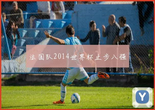 法国队2014世界杯止步八强