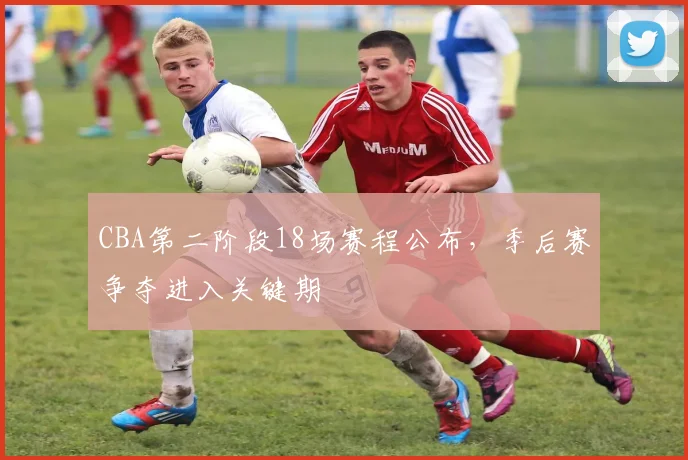 CBA第二阶段18场赛程公布,季后赛争夺进入关键期