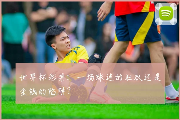 世界杯彩票:一场球迷的狂欢还是金钱的陷阱?