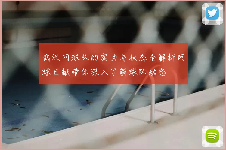 武汉网球队的实力与状态全解析网球巨献带你深入了解球队动态