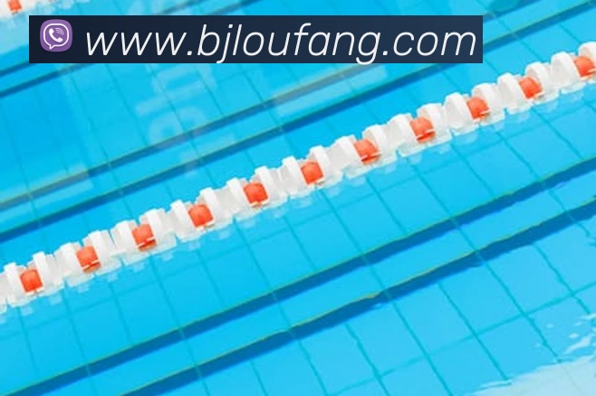 买球官网APP 体育赛事宣传图